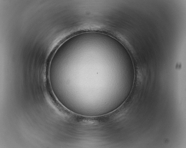 X0000112210582200908211520