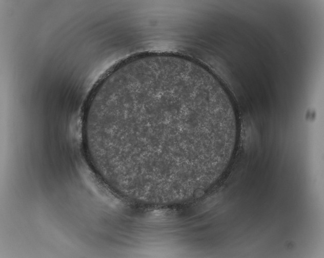 X0000112210584200908211520