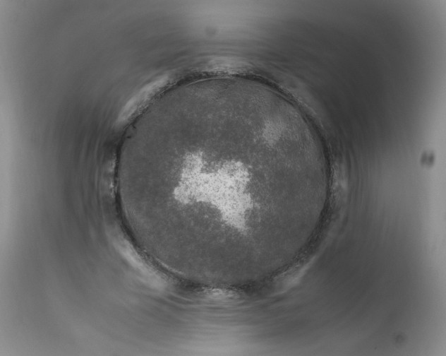 X0000112210585200908211520