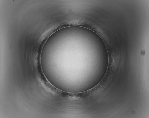 X0000112210586200908211520