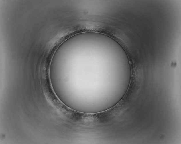 X0000112210587200908211520