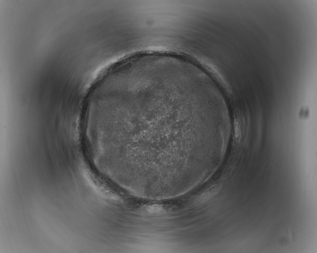 X0000112210588200908211520