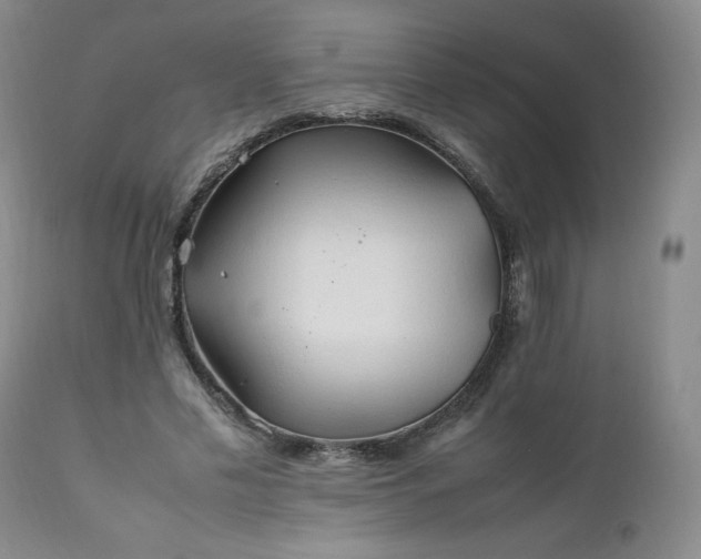 X0000112210589200908211520