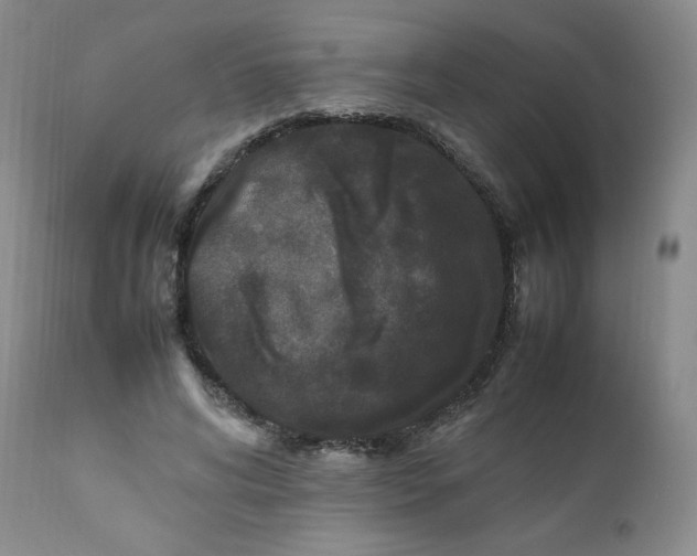 X0000112210592200908211520