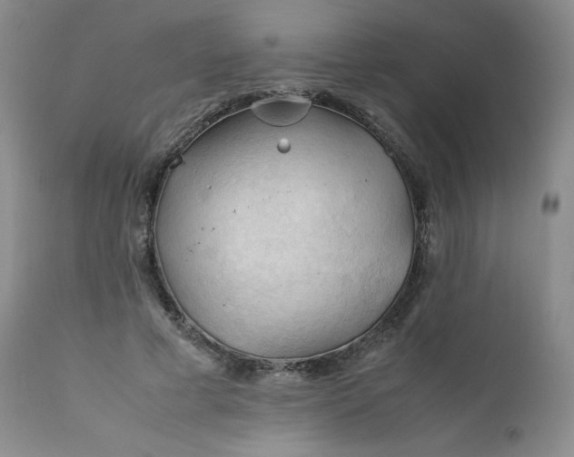 X0000112210593200908211520