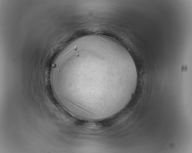 X0000112210597200908211520