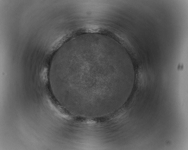 X0000112210598200908211520