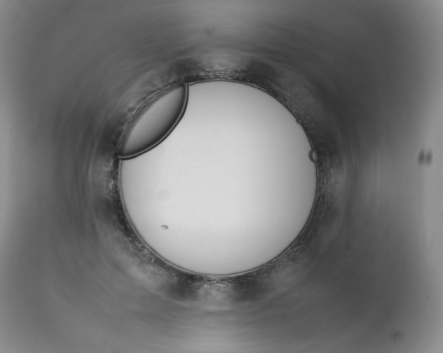 X0000112210599200908211520