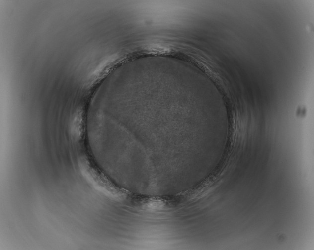 X0000112210600200908211520