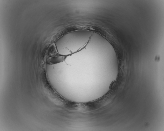 X0000112210601200908211520