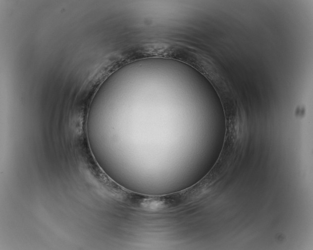 X0000112210602200908211520