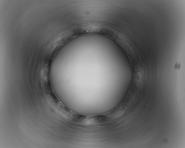 X0000112210604200908211520