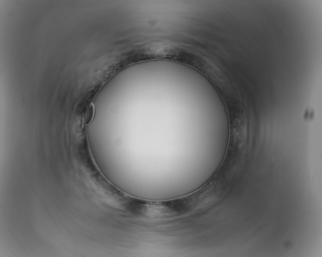 X0000112210605200908211520