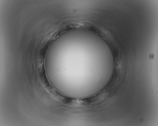 X0000112210607200908211520