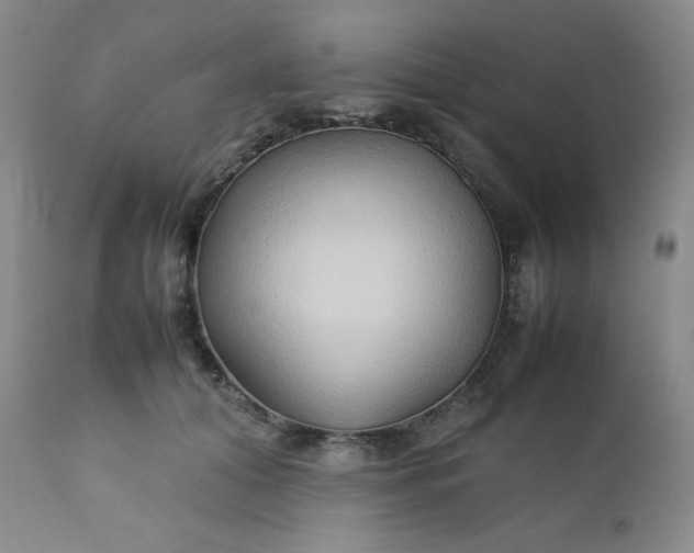 X0000112210608200908211520