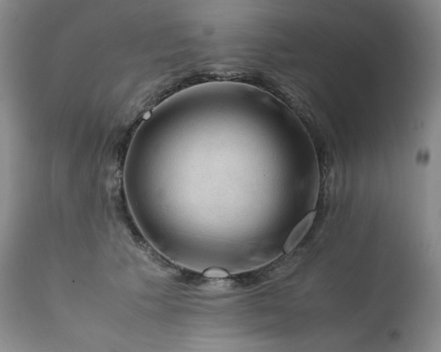 X0000112210609200908211520