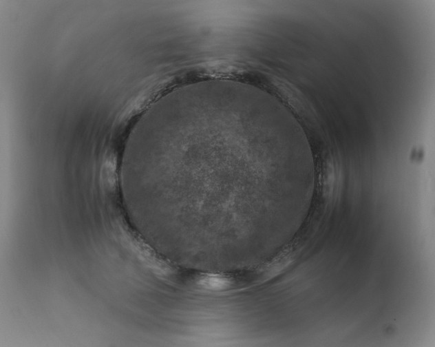 X0000112210610200908211520