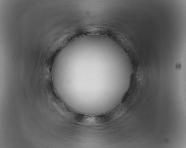 X0000112210611200908211520