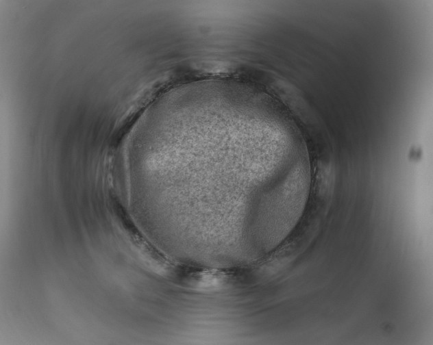 X0000112210612200908211520