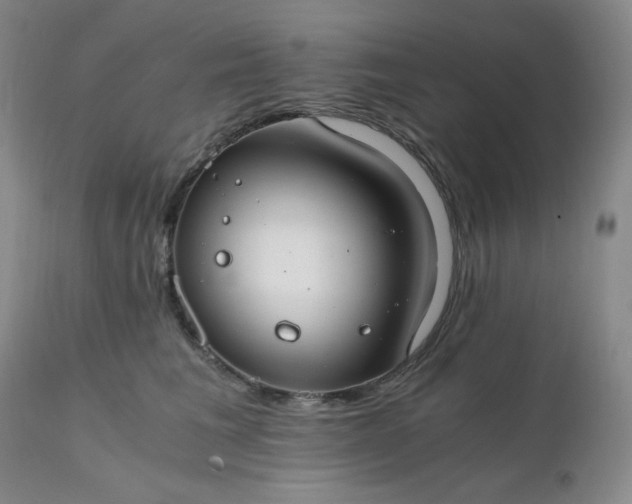 X0000112210613200908211520