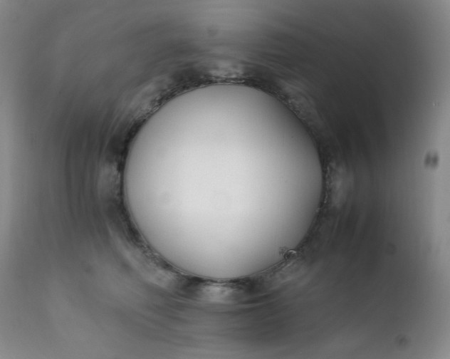 X0000112210614200908211520