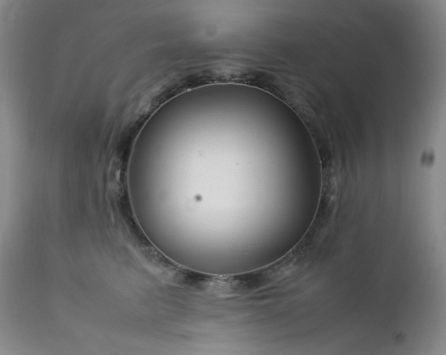 X0000112210615200908211520