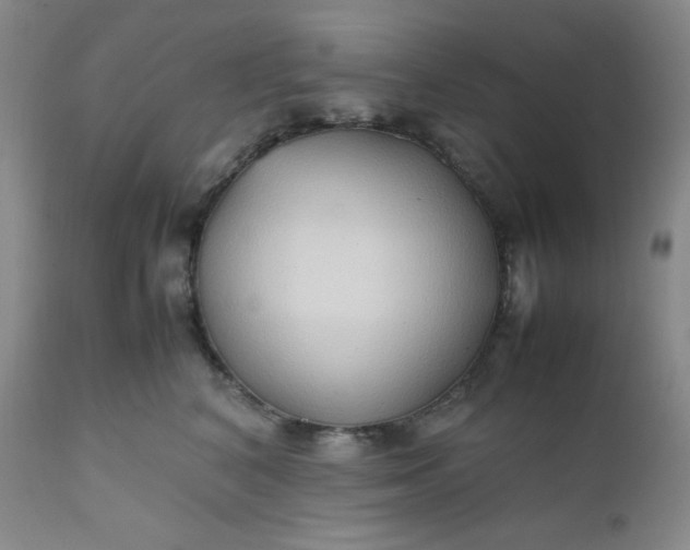 X0000112210616200908211520