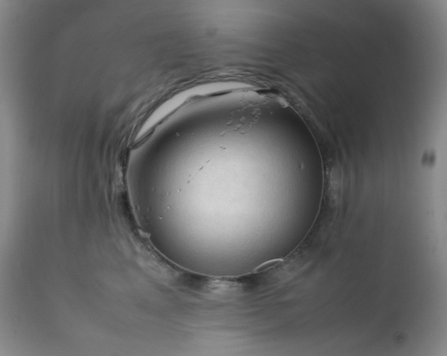 X0000112210617200908211520