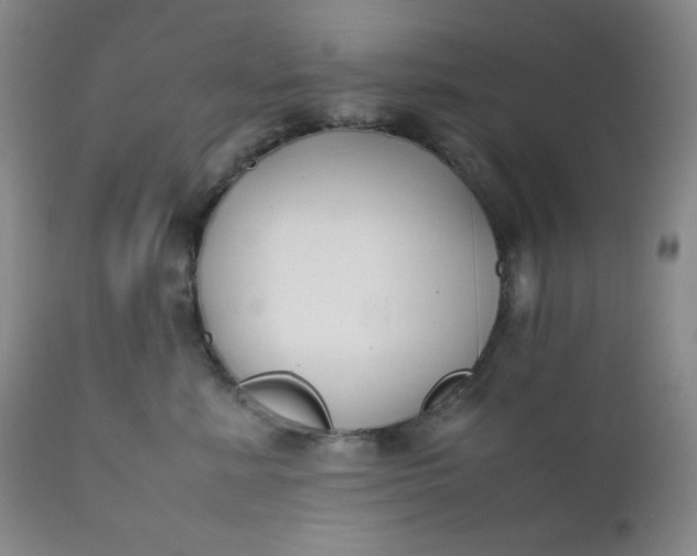 X0000112210619200908211520