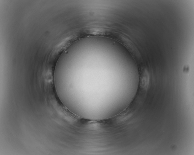 X0000112210620200908211520