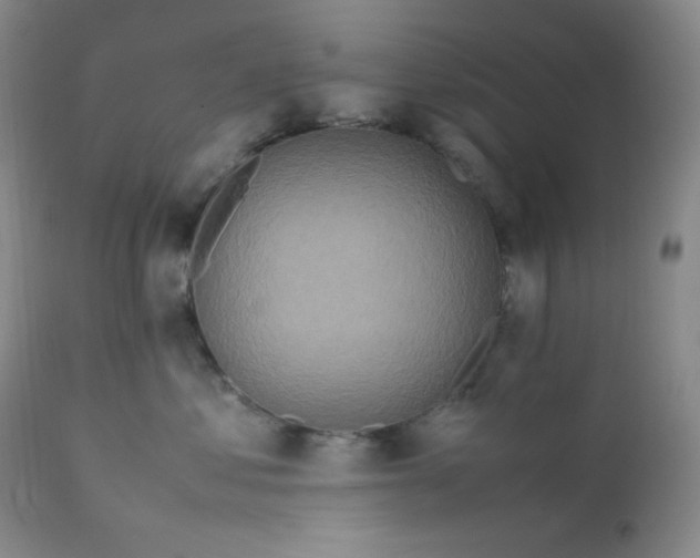 X0000112210621200908211520