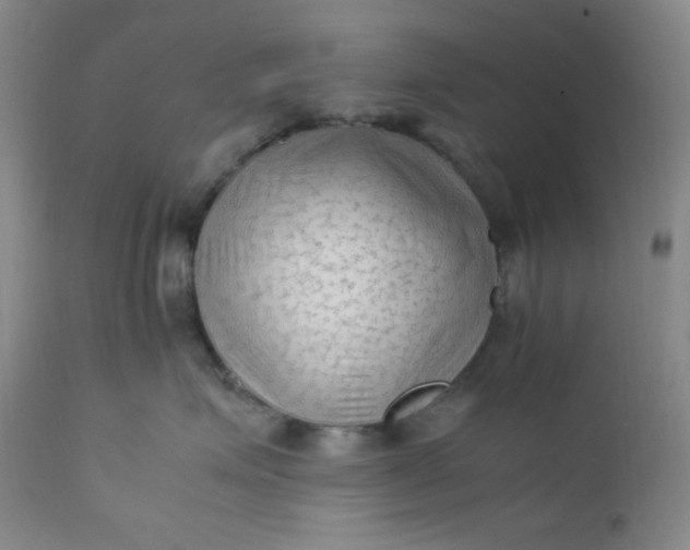 X0000112210623200908211520