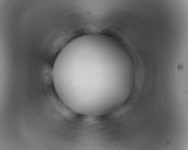 X0000112210624200908211519