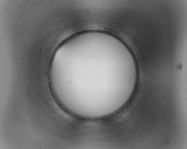 X0000112210625200908211519