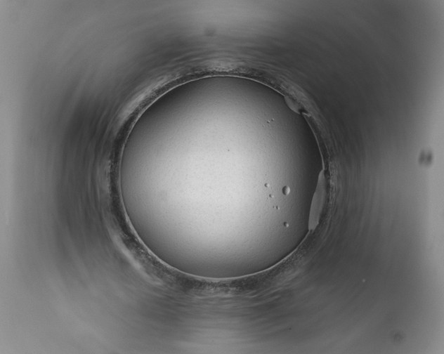 X0000112210626200908211519