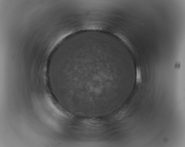 X0000112210627200908211519