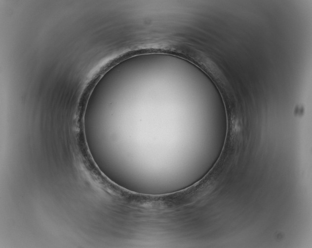 X0000112210628200908211519