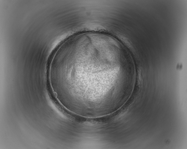 X0000112210630200908211519