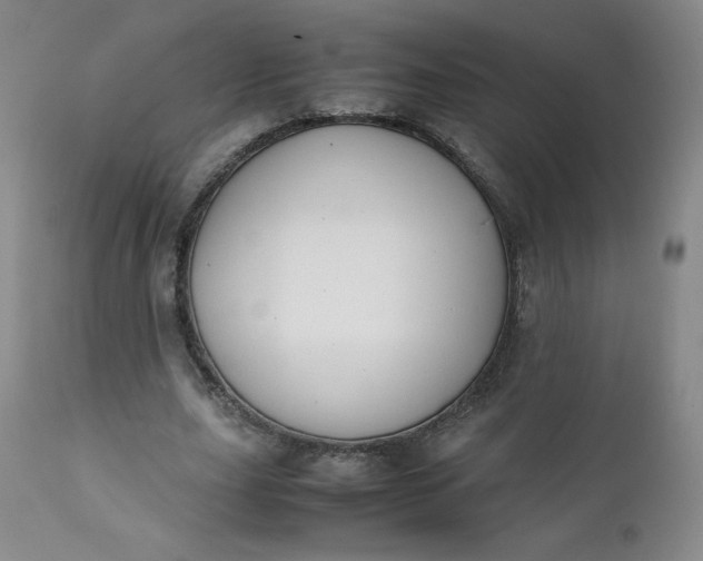 X0000112210631200908211519