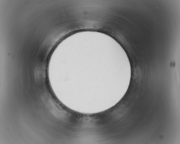 X0000112210632200908211519