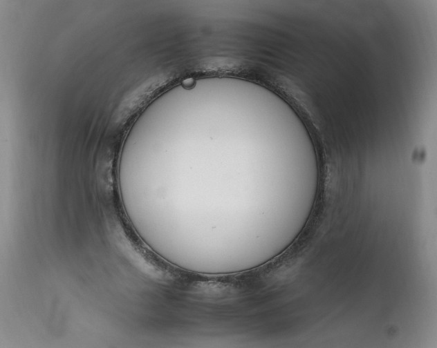 X0000112210633200908211519