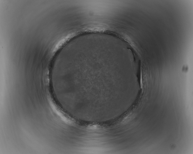 X0000112210634200908211519