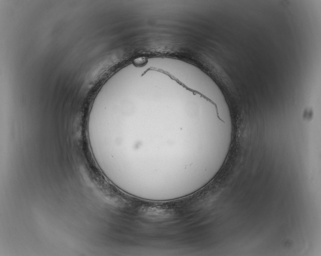 X0000112210635200908211519