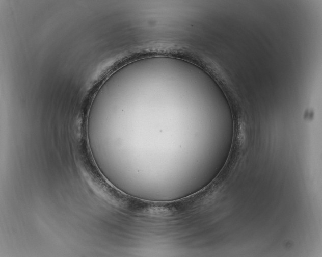 X0000112210636200908211519