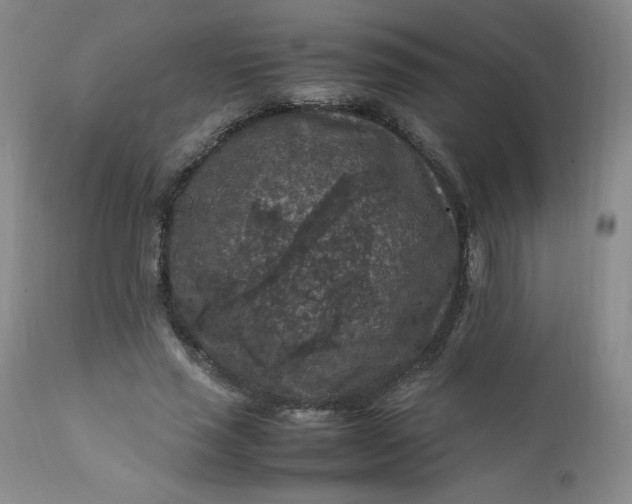 X0000112210637200908211519