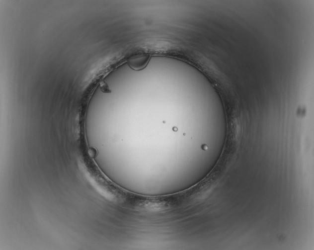 X0000112210638200908211519