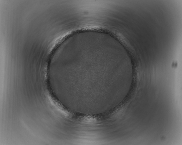 X0000112210640200908211519