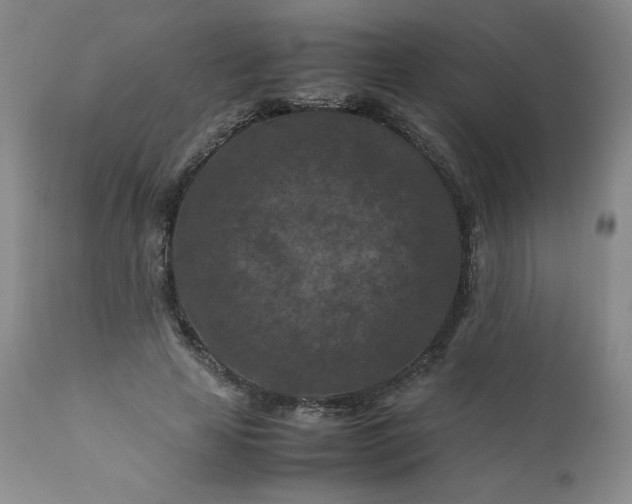 X0000112210641200908211519