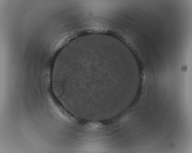 X0000112210642200908211519