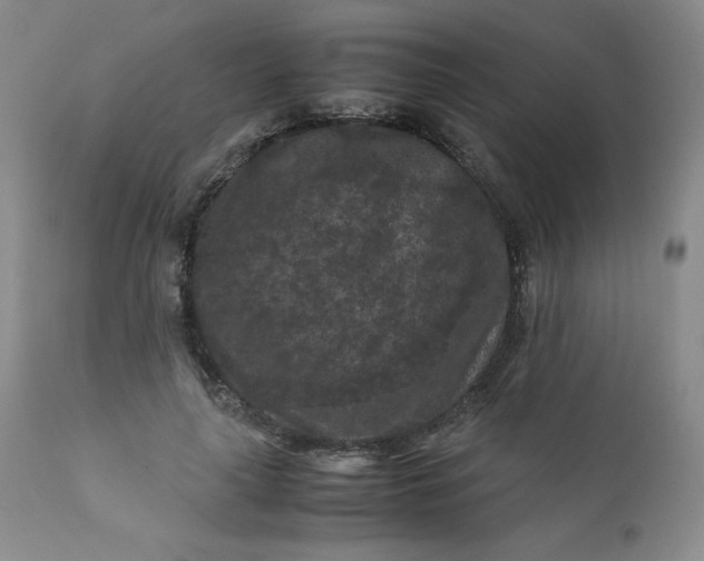 X0000112210643200908211519